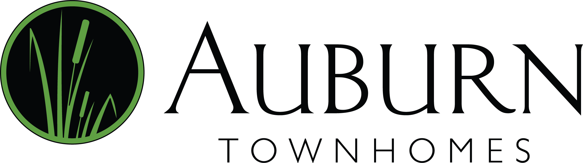AUBURN LOGO